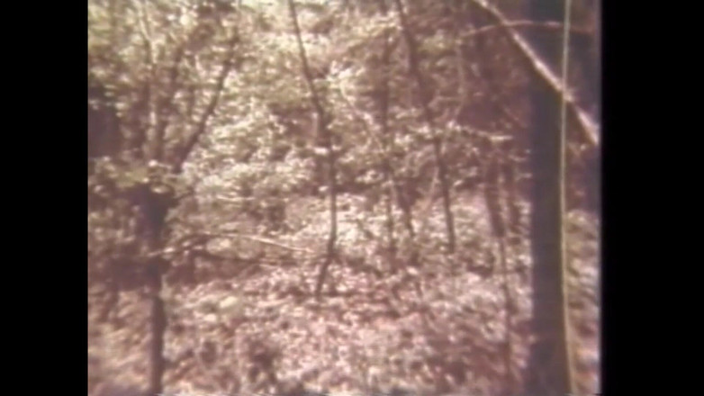 Vintage megastore: 安德里亚·特鲁和她的森林团队