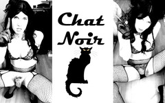 Anna Rios: Chat Noir