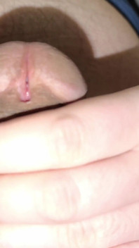 Real Close-up of a Mushroom Dick