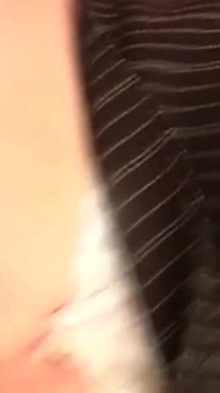 Milf mature succhiano un grosso cazzo e vengono scopata selvaggiamente