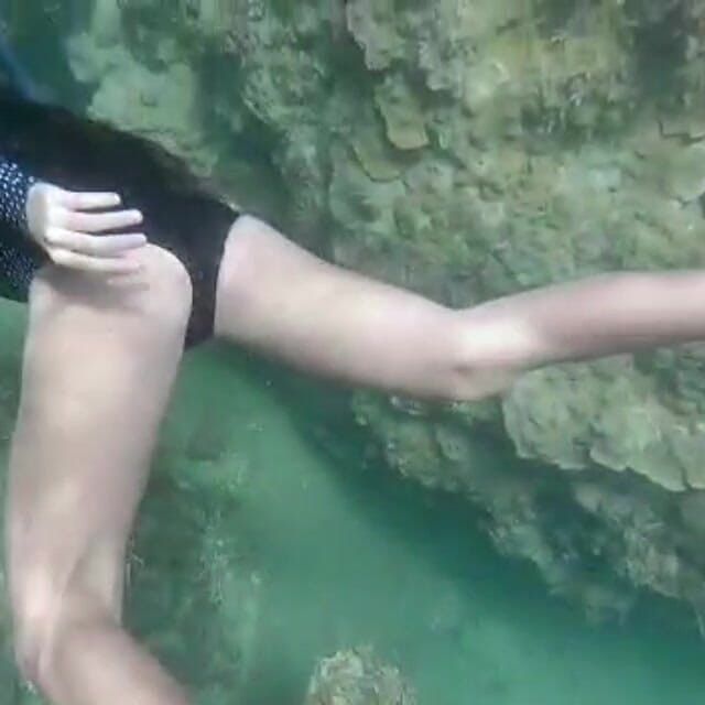 creamberryfairy: Ima sjöjungfru