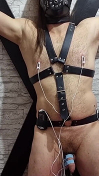 Electro sonando estiramiento de uretra - palpitación de polla en agonía de esclavitud