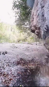 Nechtěl bys s námi jít do lesa, miláčku?