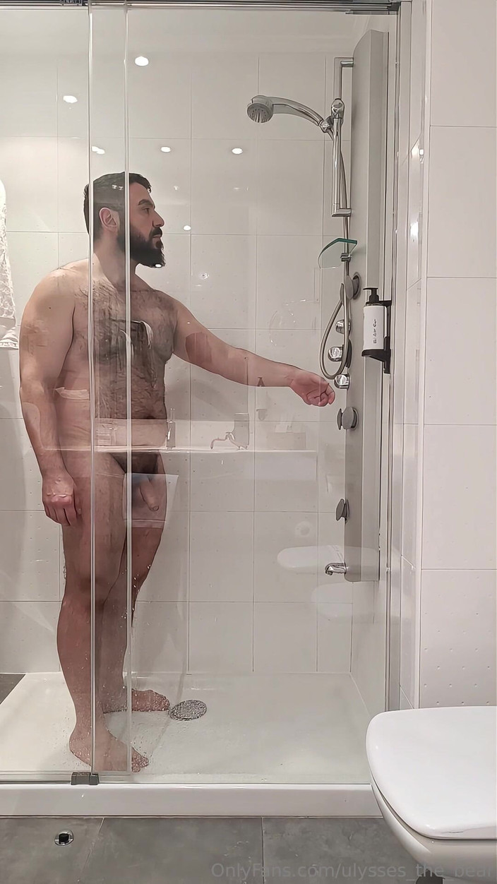 Ulysses the bear: 只是一个湿润的身体，你的想象力