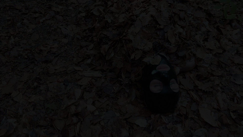 Carmen Rivera Entertainment: Yeşil sidik - iklim eylemcileri