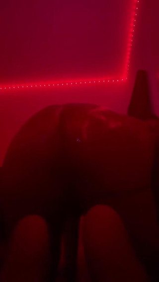 Harley Harper: Red light special