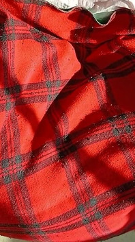 私はレズビアンのルームメイトたちが布団の中でいるのを見つけて、彼女たちのセックスに合わせて自慰行為をしました