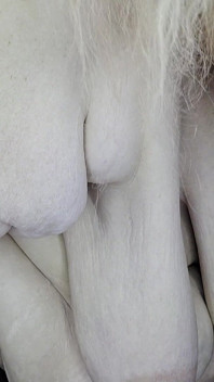 보지 문지르기 N 커밍