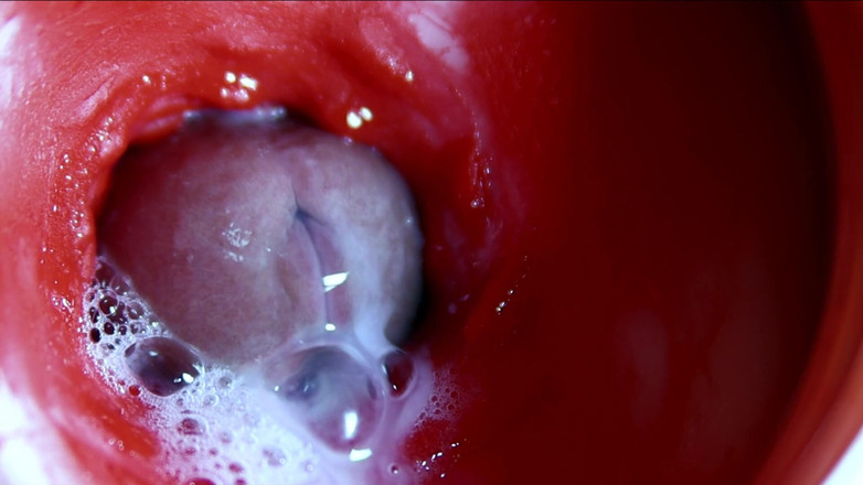 SEXY_GUYBEST: Bardzo blisko ogromne strumienie spermy w Sweet Hole Asmr Wet...