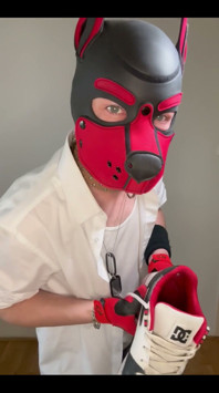 Sniff Dc Ii