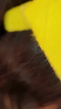 Oh Michy Perez, Tu Es Si Bien Pikachu, Baise, Leçon 2, Complet