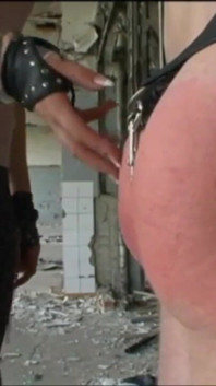 Penghinaan kontol
