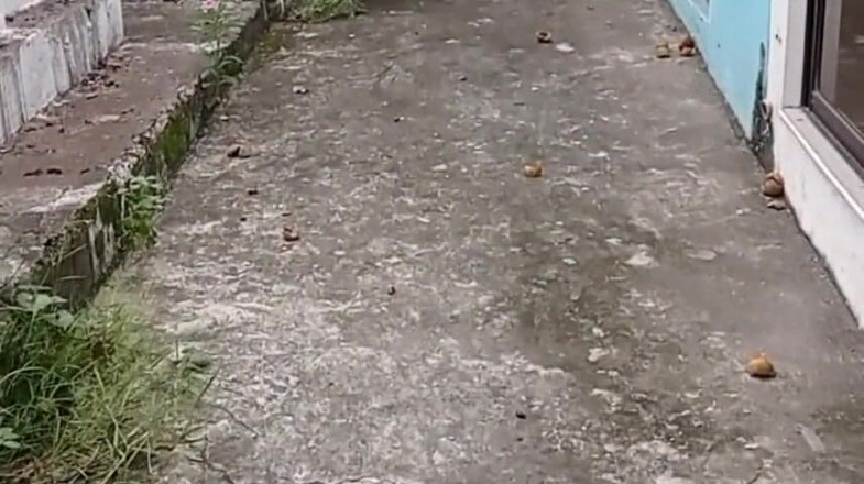 Troye_AsianPinoy: Jakol Trip Ko Sa Veřejný hřbitov - Sarap Dami Kong Pinutok (část 1)