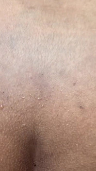 나는 정글의 오두막에 살고, 내가 목욕하는 스트림에 가는 동안, 이상한 사람이 나에게 접근