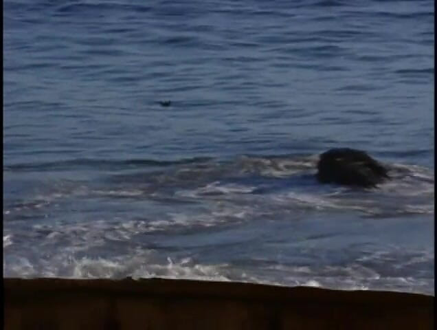 Pure redlight: Stacy se fait chasser 