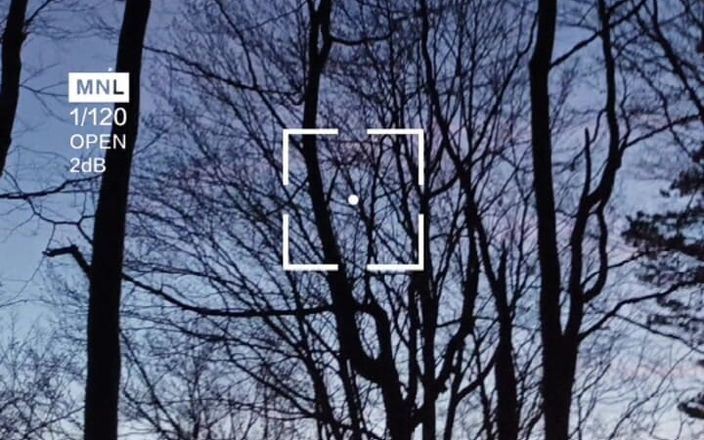 kickerscooter: Naturaleza desnuda en invierno
