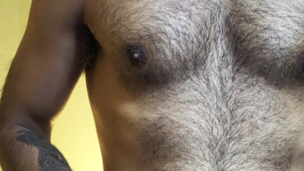 Ivan Sobris: Tratraitul porno al lui Sid