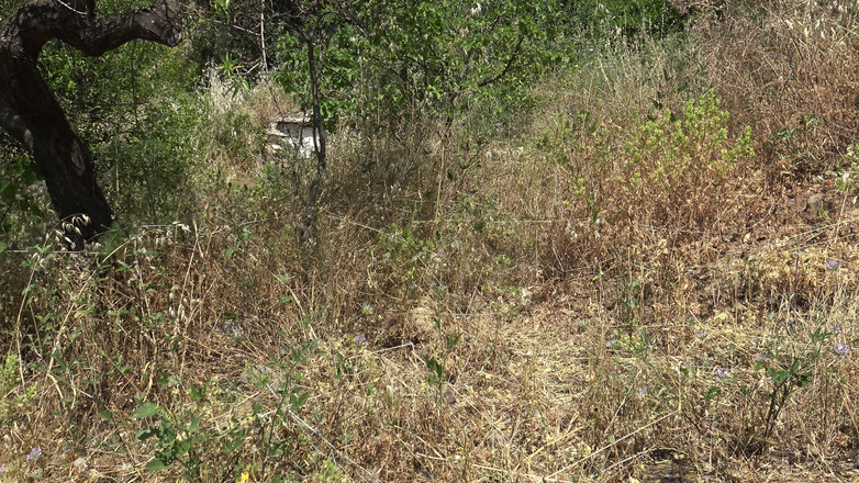 Stepmom Susan: Fransk cuckold fru och man i Cap D'Agde nakenort