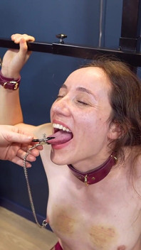Mila solloza, grita y ruega mientras la dominatrix Elysia la hiere con pinzas hirientes y orgasmo tormento