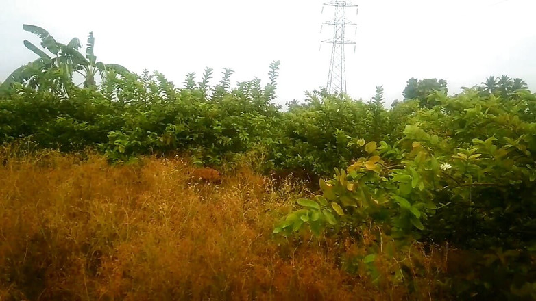 Priyanka314: 阿姨与男孩电机小穴在性爱中设置房间