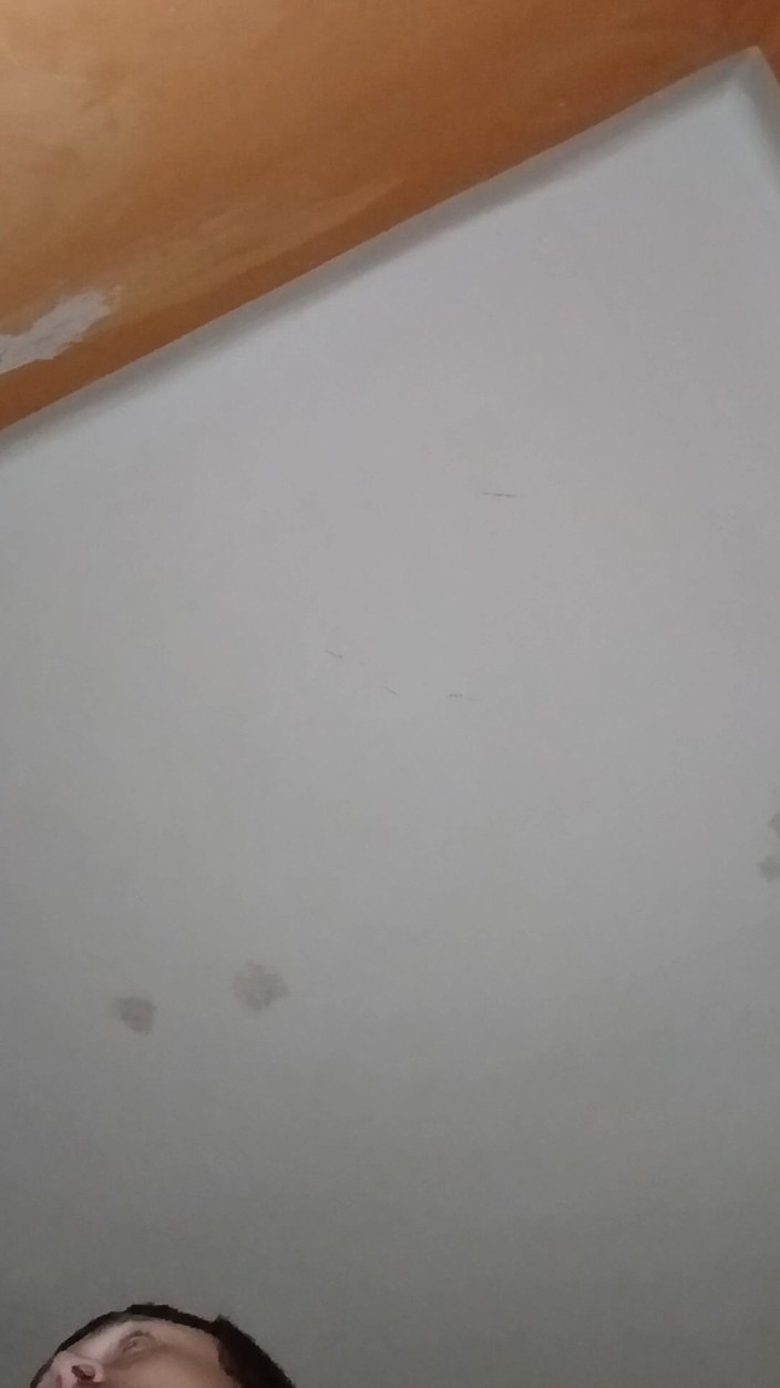 frapla: Sex Dolls Amateur