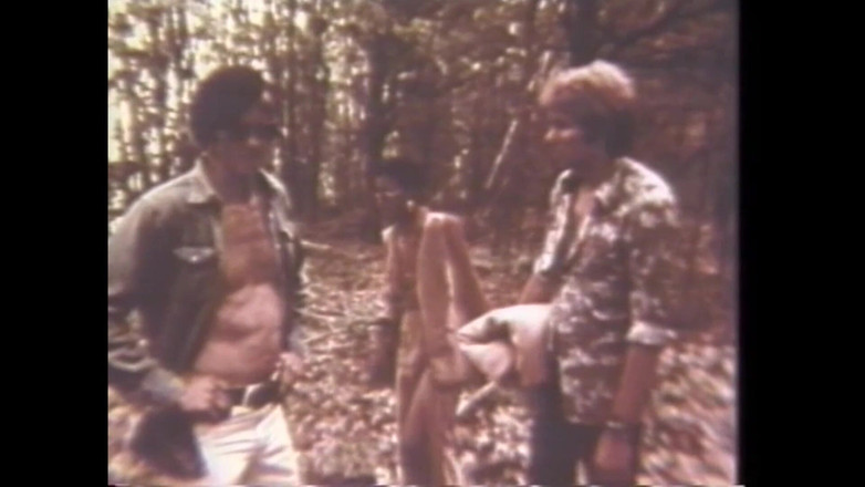 Vintage megastore: Andrea True i jej zespół w lesie