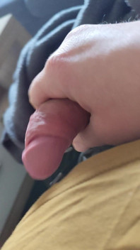 Hornyhorse
