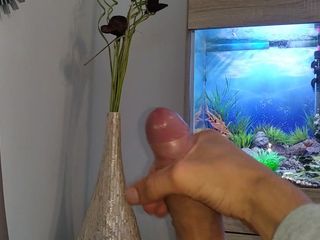 Arg B dick: Hot Young Guy Wanks his Nice Big Cock until he...