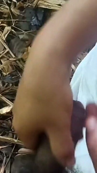 Work in the Forest Saves More Tips
