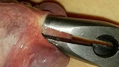 टूलबॉक्स साउंडिंग और रॉड