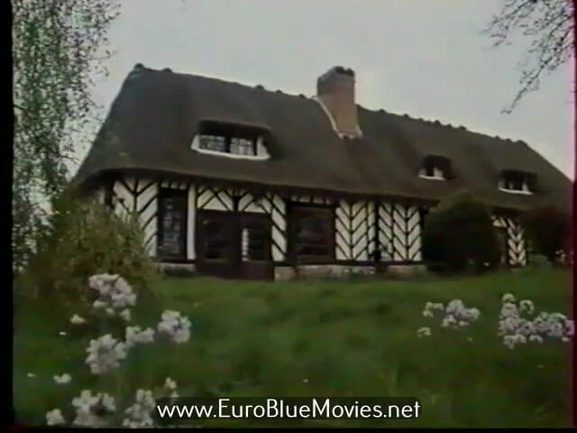 Euro Blue Movies: Histerik zevkler (1986)