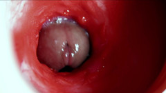 SEXY_GUYBEST: Một con cu to xinh đẹp chảy dồi dào bên trong...