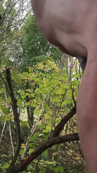 Diversão anal com ramo de árvore na floresta