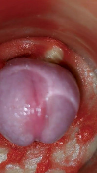 Sborra Senza Sperma. Eccellente Telecamera Interna. 4K