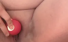 Lotus Plays with Rose Toy