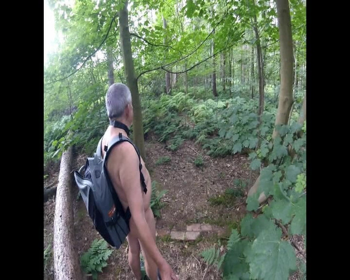 Andy: Bagian 2 jalan kaki di hutan