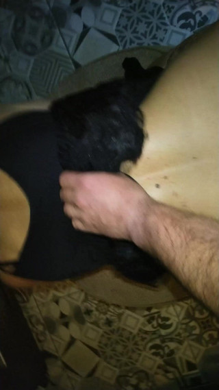 Toilet Mommy: Suocera in abito da ballerina e buttplug frustata con una...