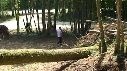 Hard Lesbians: Two gilfs feeling horny in the woods