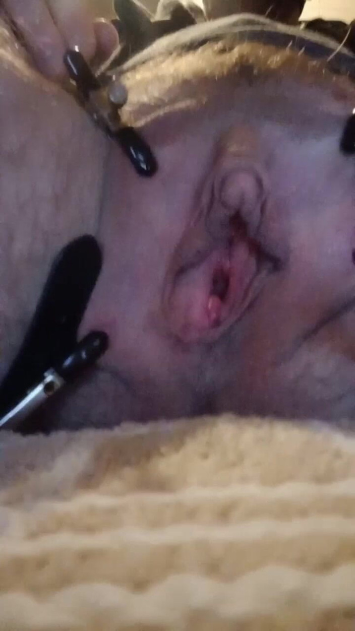 BonusholeToy: Ftm ukarał jodłę jako leniwą