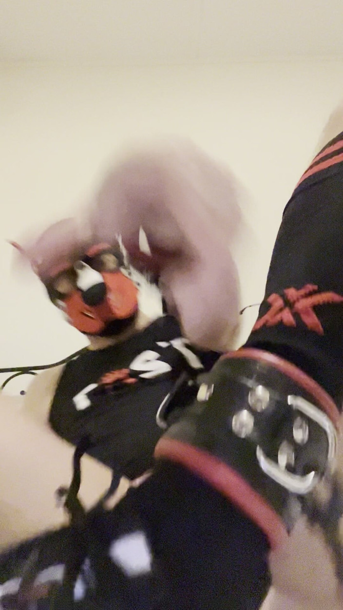 KinkyToyStory: Широко раскрытая гей-щенячья задница после напряжённой ночи кулаков