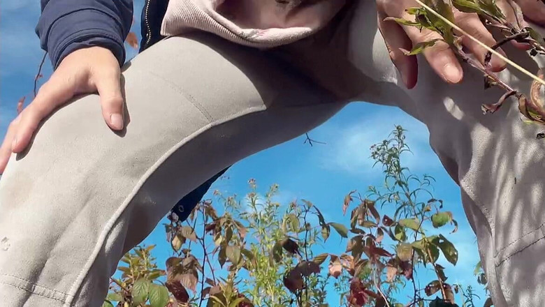 sweethanajapanese: 完美身材娇小的hana