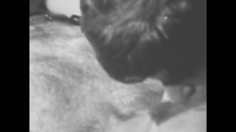 Vintage Usa: The Hairy Pussies of Sensual Women