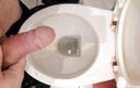LuizaSlave: Pisse et éjaculation dans les toilettes