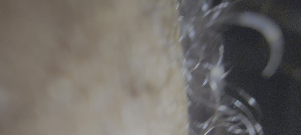 Javon761: 솔로 흑인 대물