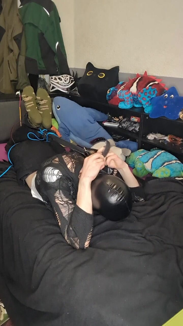 AJ_the_catgirl: Trying Head Harnes Hogtie