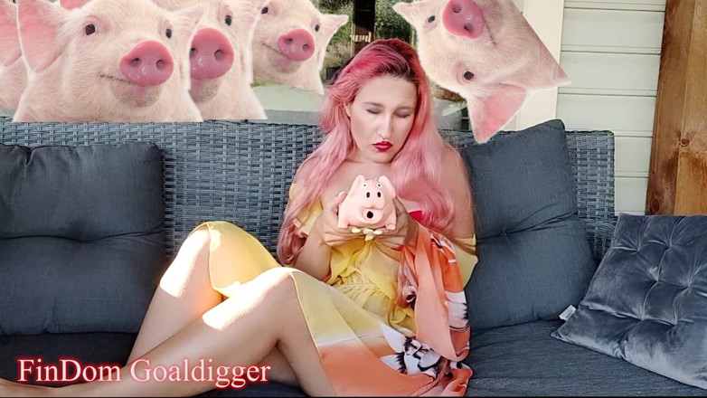 FinDom Goaldigger: Cash slave kontrola formuláře aplikace