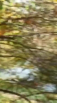 The young brunette girl loves to be transgressive by having sex in the park with a friend
