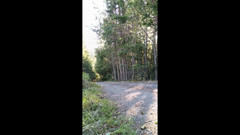 kickerscooter: Abspritzen, zusammenstellung