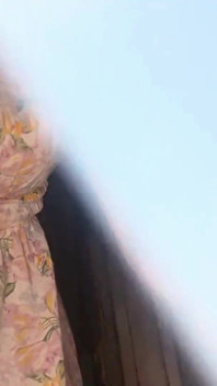 Fagarella