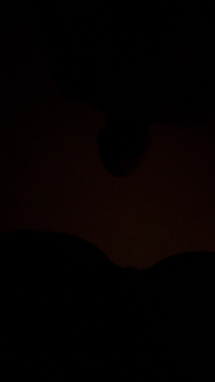 Asiat_94: Sug den raka killen med masken